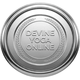 Silver membership badge